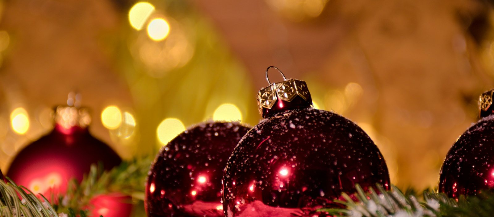 Red Christmas baubles dusted with snow on a pine branch, with warm golden lights behind