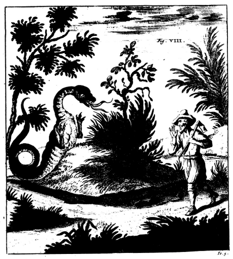An Alpine dragon rears up before a traveller who recoils with raised hands, in a 1723 engraving