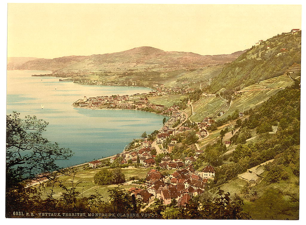 An elevated view along the shore of Lake Geneva, with terraced vineyards on the right and a string of lakeside towns curving into the distance